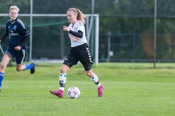 Bild 254 - B-Juniorinnen SV Henstedt Ulzburg - Hamburger SV : Ergebnis: 2:3